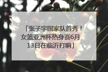 张子宇国家队首秀！女篮亚洲杯热身赛6月13日在临沂打响