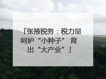 张掖税务：税力量呵护“小种子” 育出“大产业”