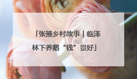 张掖乡村故事｜临泽林下养鹅“钱”景好