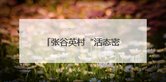 张谷英村“活态密码”引百万客！古村焕新，家风+科技成文旅融合新爆点