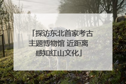 探访东北首家考古主题博物馆 近距离感知红山文化