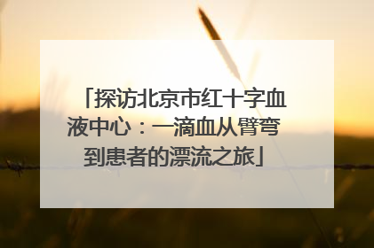 探访北京市红十字血液中心：一滴血从臂弯到患者的漂流之旅