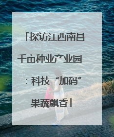 探访江西南昌千亩种业产业园：科技“加码” 果蔬飘香