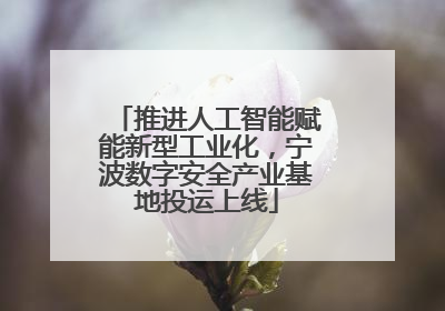 推进人工智能赋能新型工业化，宁波数字安全产业基地投运上线