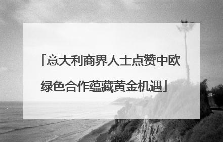 意大利商界人士点赞中欧绿色合作蕴藏黄金机遇