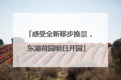 感受全新移步换景，东湖荷园明日开园