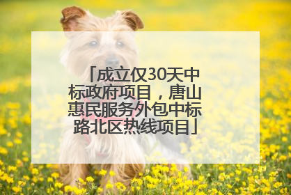 成立仅30天中标政府项目，唐山惠民服务外包中标路北区热线项目