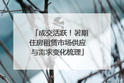 成交活跃！暑期住房租赁市场供应与需求变化梳理