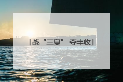 战“三夏” 夺丰收