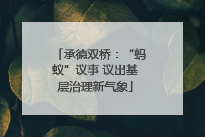 承德双桥：“蚂蚁”议事 议出基层治理新气象
