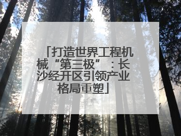 打造世界工程机械“第三极”：长沙经开区引领产业格局重塑