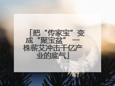 把“传家宝”变成“聚宝盆” 一株蕲艾冲击千亿产业的底气