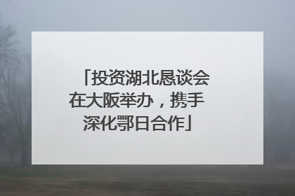 投资湖北恳谈会在大阪举办，携手深化鄂日合作