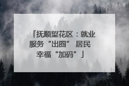 抚顺望花区：就业服务“出圈” 居民幸福“加码”