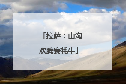拉萨：山沟欢腾赛牦牛