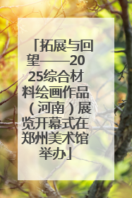 拓展与回望——2025综合材料绘画作品（河南）展览开幕式在郑州美术馆举办