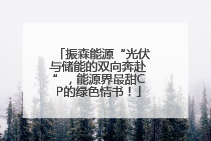 振森能源“光伏与储能的双向奔赴”，能源界最甜CP的绿色情书！