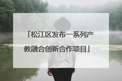 松江区发布一系列产教融合创新合作项目