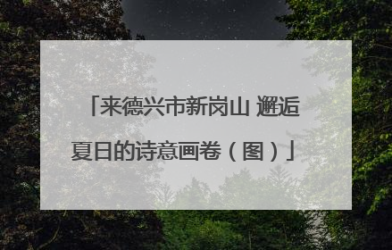 来德兴市新岗山 邂逅夏日的诗意画卷（图）