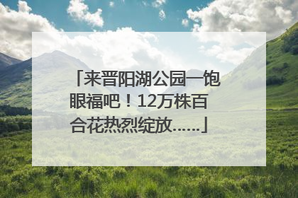 来晋阳湖公园一饱眼福吧！12万株百合花热烈绽放……