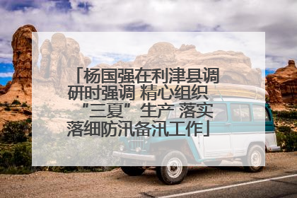 杨国强在利津县调研时强调 精心组织“三夏”生产 落实落细防汛备汛工作