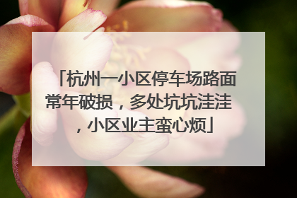 杭州一小区停车场路面常年破损，多处坑坑洼洼，小区业主蛮心烦