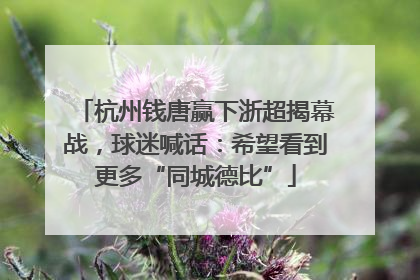 杭州钱唐赢下浙超揭幕战，球迷喊话：希望看到更多“同城德比”