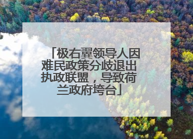 极右翼领导人因难民政策分歧退出执政联盟，导致荷兰政府垮台