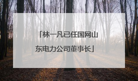 林一凡已任国网山东电力公司董事长