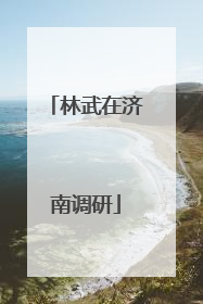 林武在济南调研