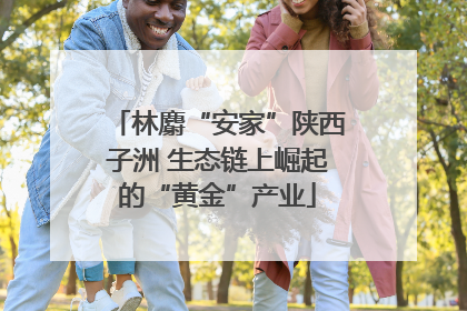 林麝“安家”陕西子洲 生态链上崛起的“黄金”产业