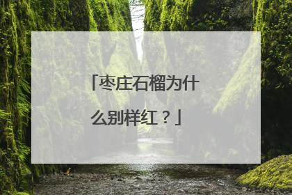 枣庄石榴为什么别样红？