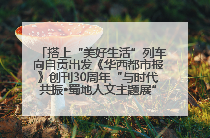 搭上“美好生活”列车向自贡出发《华西都市报》创刊30周年“与时代共振•蜀地人文主题展”5月30日开展丨美好生活有“盐”味