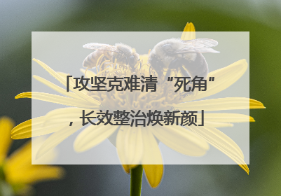 攻坚克难清“死角”，长效整治焕新颜