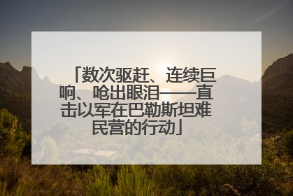 数次驱赶、连续巨响、呛出眼泪——直击以军在巴勒斯坦难民营的行动