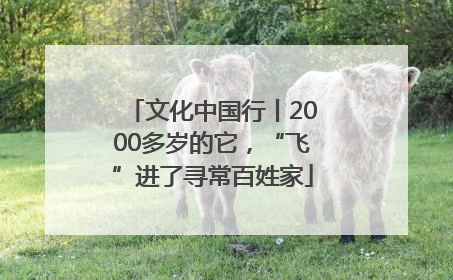 文化中国行丨2000多岁的它，“飞”进了寻常百姓家