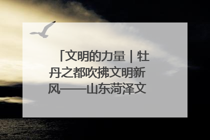 文明的力量｜牡丹之都吹拂文明新风——山东菏泽文明创建一线见闻