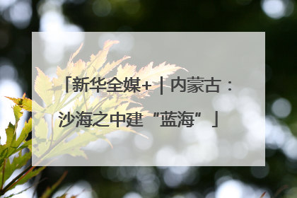 新华全媒+｜内蒙古：沙海之中建“蓝海”