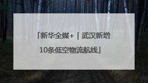 新华全媒+｜武汉新增10条低空物流航线