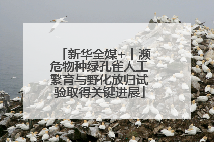 新华全媒+丨濒危物种绿孔雀人工繁育与野化放归试验取得关键进展