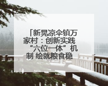 新晃凉伞镇万家村：创新实践“六位一体”机制 绘就粮食稳产增收新图景