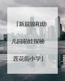 新晨锦和幼儿园萌娃探秘莲花街小学