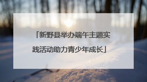 新野县举办端午主题实践活动助力青少年成长