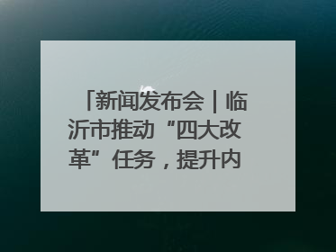 新闻发布会｜临沂市推动“四大改革”任务，提升内部审计监督效能