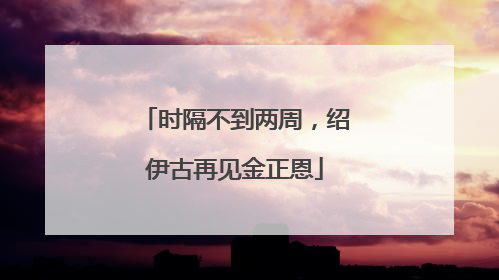时隔不到两周，绍伊古再见金正恩