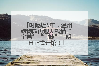 时隔近5年，温州动物园再迎大熊猫“宝弟”“宝妹”，明日正式开馆！