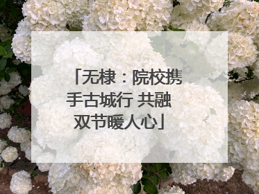 无棣：院校携手古城行 共融双节暖人心