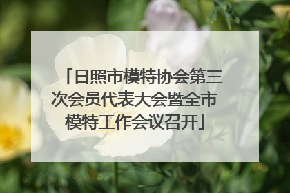 日照市模特协会第三次会员代表大会暨全市模特工作会议召开