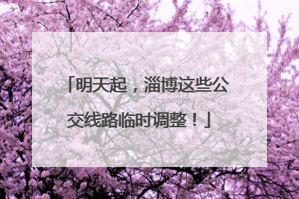 明天起，淄博这些公交线路临时调整！