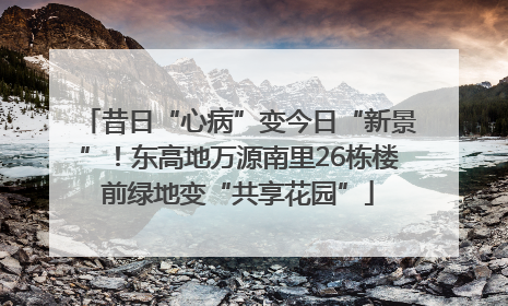 昔日“心病”变今日“新景”！东高地万源南里26栋楼前绿地变“共享花园”